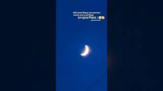 caption । status #song #love #status #youtubeshorts #trending #shorts #search  #money #how #sad