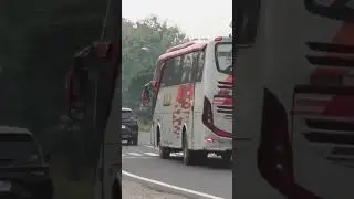 S 7538 US EKA CEPAT #bus #ekacepat #vidioshort