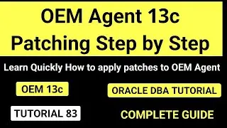 OEM Agent Patching step by step