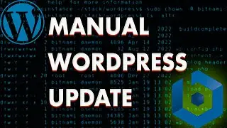 How to Update WordPress via SSH on Lightsail Bitnami