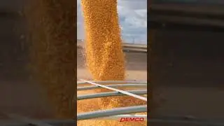 Demco Steel Grain Hopper Bottom Trailers In Action