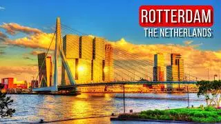 Rotterdam: The City That Dared To Be Different