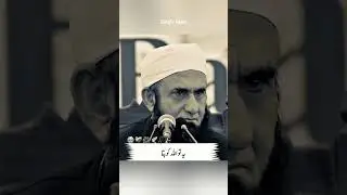 Tariq Jameel sahab bayan #tariqjameel #ytshorts #bayanat #islamic