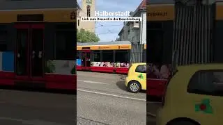 Halberstadt | Vorbeifahrt: Tramlinie 1 nach Bahnhof #shorts #tram #urlaub