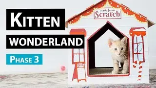 Building a Kitten Winter Wonderland with Boxes: Phase 3