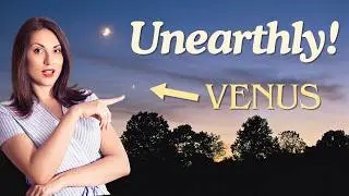 12 поразительных фактов, в которые вы не поверите!