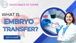What is Embryo transfer?
