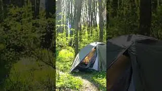 Camping in the nature with bird sounds  || shorts video #shorts