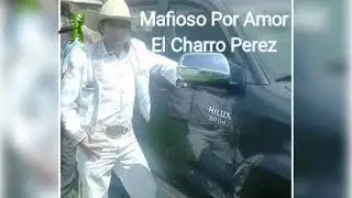CHARRO PEREZ 