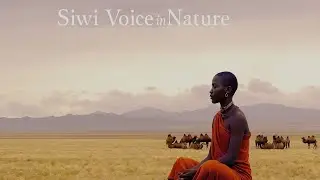 African Grounding Meditation 🌍 Tribal Drums & Forest Energy for Inner Balance