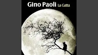 La gatta