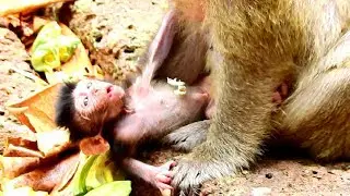 OM! what's going on Daniela like this! Why Dana don't carry baby Dana!