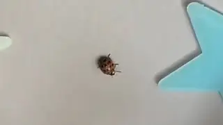 If You See This In Your Home, KiII It&hellip; 💀