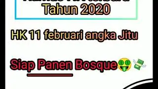 PREDIKSI HK 11 FEBRUARI 2020 MALAM INI JP98%