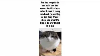 Chonky cat speaking the enemy song