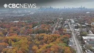 City council weighs controversial building proposal near Glen Stewart Ravine