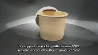 disposable plastic container for food,disposable cups,High Quality,China Supplier