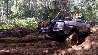 Borneo Safari 2017 Trowback | Overland Adventure | Extreme 4x4 Off Road | Hilux Mudding 7733