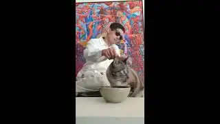 Nutro Max Cat Adult With Savory Venison Chunks in Sauce Wet Cat Food Eating Demonstration