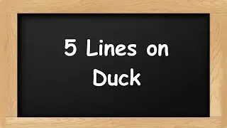 Duck Short 5 Lines in English || 5 Lines Essay on Duck