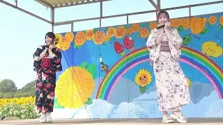 【Reve Pocket】「君に夢中」2025.6.21「あけのひまわりフェスティバル」#RevePocket #レポケ #咲間葉月 #山岸万里菜 #あけのひまわりフェスティバル