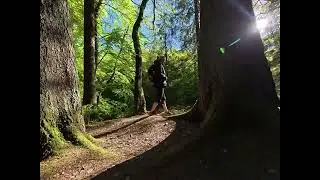 We Found a Secret Forest Trail Adventure!
