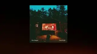 Dan Mangan - My Dreams Are Getting Weirder (Lyrics)
