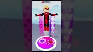 Misterfly
