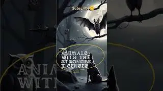 Animals with the strongest senses !! #animals  #animalsenses #braveanimals