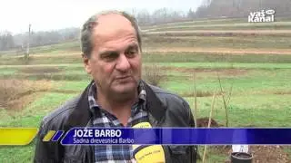 Posadili prvo uradno brusni&scaron;ko hrustavko