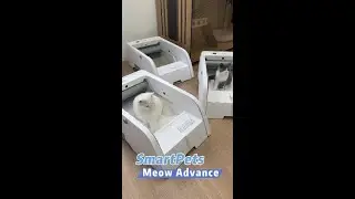 Meow Advance Introduction