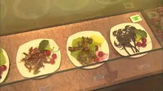 Edible Insect Sausage