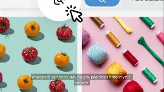 Reverse Image Search by DepositPhotos | Find High-Resolution, Royalty-Free Images Fast