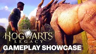Hogwarts Legacy's Pets, Homes, And Player Customization