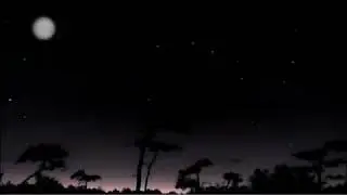 жұлдызды аспан