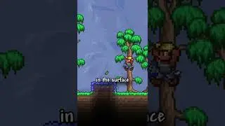 Useful Terraria Facts part 2 #terraria
