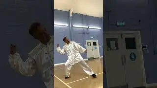 Shuang Yang - Section 4 - Moves 34 to 44