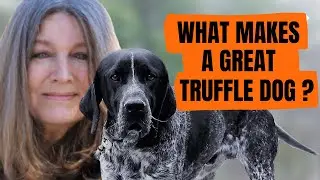 The Magnificent Seven Truffle Dogs