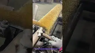 Satisfying ASMR: Rusty Pipe Cleaning with a Wire Brush Roller