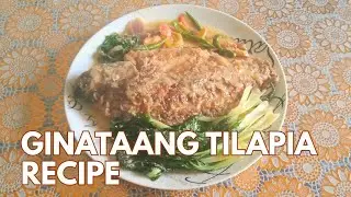 FRIED TILAPIA IN COCONUT MILK (GINATAANG TILAPIA) RECIPE