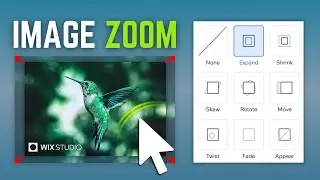 How To Make Image Zoom in Wix Studio | Hover Over Expand Effect