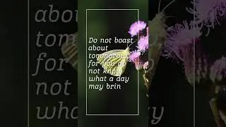 Trust Today to God | Proverbs 27:1
