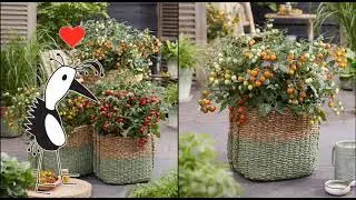 Prudac Tomato Tiny Temptations&trade; F1 Orange Fleuroselect Gold Medal 2024