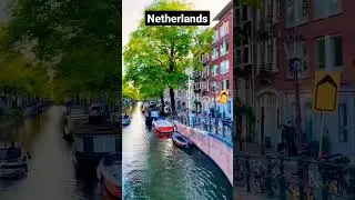 Netherlands official language is Dutch #shorts #amsterdam #netherlands  #travel #ad #clips #trending