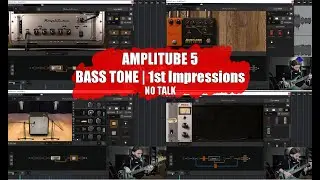 Amplitube 5 | Bass Sounds with different setup&techniques | No Talk | Ampeg, Trace Eliot...