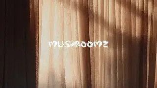 Sign of the Times (millforlife Afro House Remix)