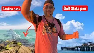 Not your average Fishing trip: Keep moving spots until you find the fish!￼