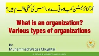 What is an organization? | Various types of organization | Simple explanation in Urdu/Hindi