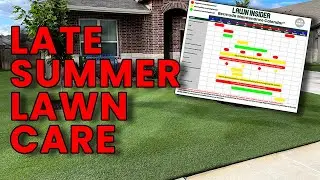 Late Summer Lawn Care | I've Got Some Decisions to Make