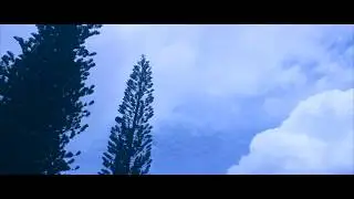 Cubbon park Cinematic